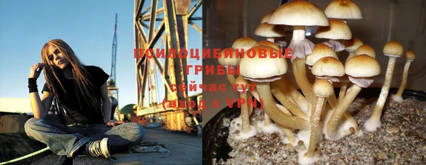 экстази Нея