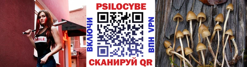 Псилоцибиновые грибы Magic Shrooms  купить   blacksprut   Красный Кут 